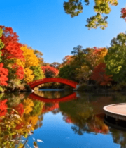 秋季湖边红叶拱桥自然风光12284#横屏 