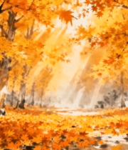 秋季枫叶树林光影素材4557#横屏 