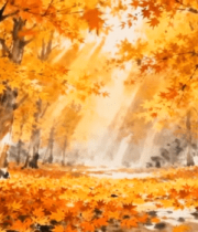 秋季枫叶树林光影素材4557#横屏 