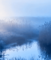 晨光下芦苇荡中的水域景象1789#横屏 