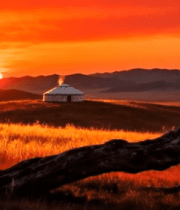 草原日落枯木与蒙古包景色6945#横屏 