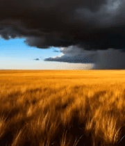 草原上乌云密布的景象(1)3891#横屏 