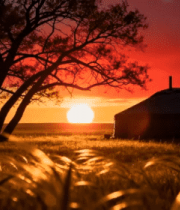 草原夕阳下的蒙古包美景1550#横屏 