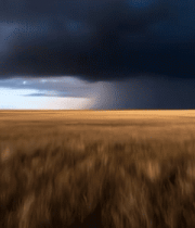 草原上乌云密布的景象(1)3891#横屏 