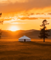 草原夕阳下的蒙古包与树木314#横屏 
