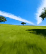 草原蓝天树木风景14070#横屏 