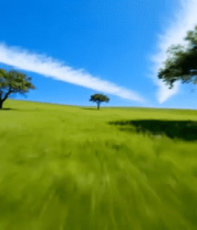 草原蓝天树木风景14070#横屏 