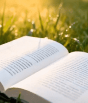 草地上翻开的书籍素材5994#横屏 