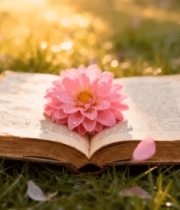 草地上翻开的书与粉色花朵11900#横屏 