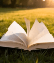 草地上翻开的旧书与花朵10857#横屏 