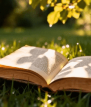 草地上翻开的书籍特写14882#横屏 