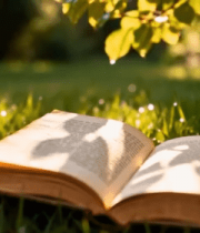 草地上翻开的书籍特写14882#横屏 