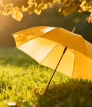 草地上的黄色雨伞与阳光树叶14019#横屏 