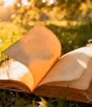 草地上翻开的书籍(1)6436#横屏 