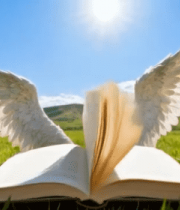 草地上带翅膀的翻开书籍1255#横屏 