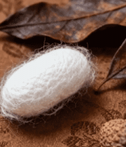 蚕茧与干果静物素材3925#横屏 