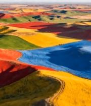 彩色田野俯瞰全景12375#横屏 