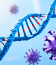 病毒与结构展示3272#横屏 