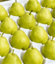 白色托盘中的新鲜梨子14206#横屏 