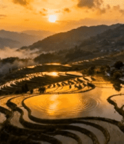 日出时分的梯田风光276#横屏 