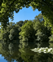 森林湖泊自然风光6425#横屏 