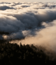 森林云海高空俯瞰景象6047#横屏 