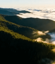 山林云海航拍全景2144#横屏 