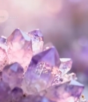  紫水晶微距特写素材593#竖屏 	 