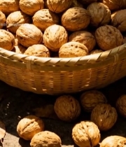  竹篮中堆放的核桃特写6746#竖屏 	 