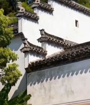  中式古建筑屋顶特写(1)1408#竖屏 	 