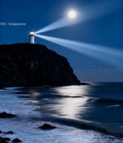  月夜海边灯塔远景704#竖屏 	 