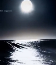  月夜下的大海与翻涌海浪6440#竖屏 	 