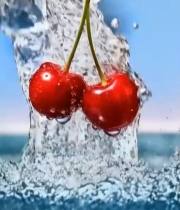  樱桃入水特写素材918#竖屏 	 