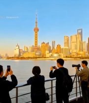  游客外滩拍摄东方明珠景观7509#竖屏 	 