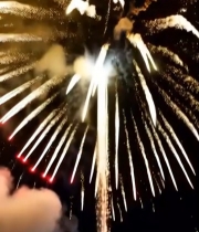  夜空中绽放的绚丽烟花(7)3902#竖屏 	 