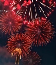  夜空中绽放的绚丽烟花(1)1466#竖屏 	 