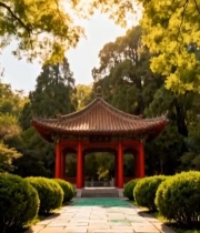  阳光下的中式凉亭与绿植景观4347#竖屏 	 