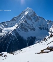  雪山下绽放的白色花朵1913#竖屏 	 