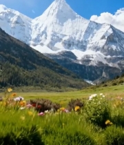  雪山下的草地溪流风光2453#竖屏 	 