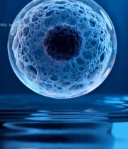  渲染细胞微观素材1023#竖屏 	 