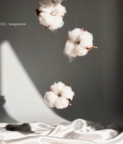  悬浮棉花特写与丝绸背景192#竖屏 	 