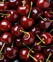  新鲜车厘子特写素材423#竖屏 	 