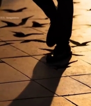  行人于夕阳下行走与鸟影相伴2867#竖屏 	 