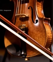  小提琴特写素材2592#竖屏 	 