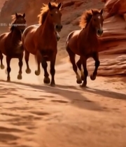  峡谷中奔跑的马群(1)4189#竖屏 	 