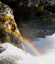  溪流间岩石上的彩虹景观6811#竖屏 	 