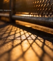  夕阳下铁丝网及地面光影6050#竖屏 	 