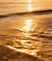  夕阳下海浪拍打沙滩素材3443#竖屏 	 