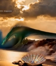  夕阳下海浪与贝壳海岸风景1905#竖屏 	 