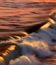  夕阳下大海海浪特写(1)5655#竖屏 	 